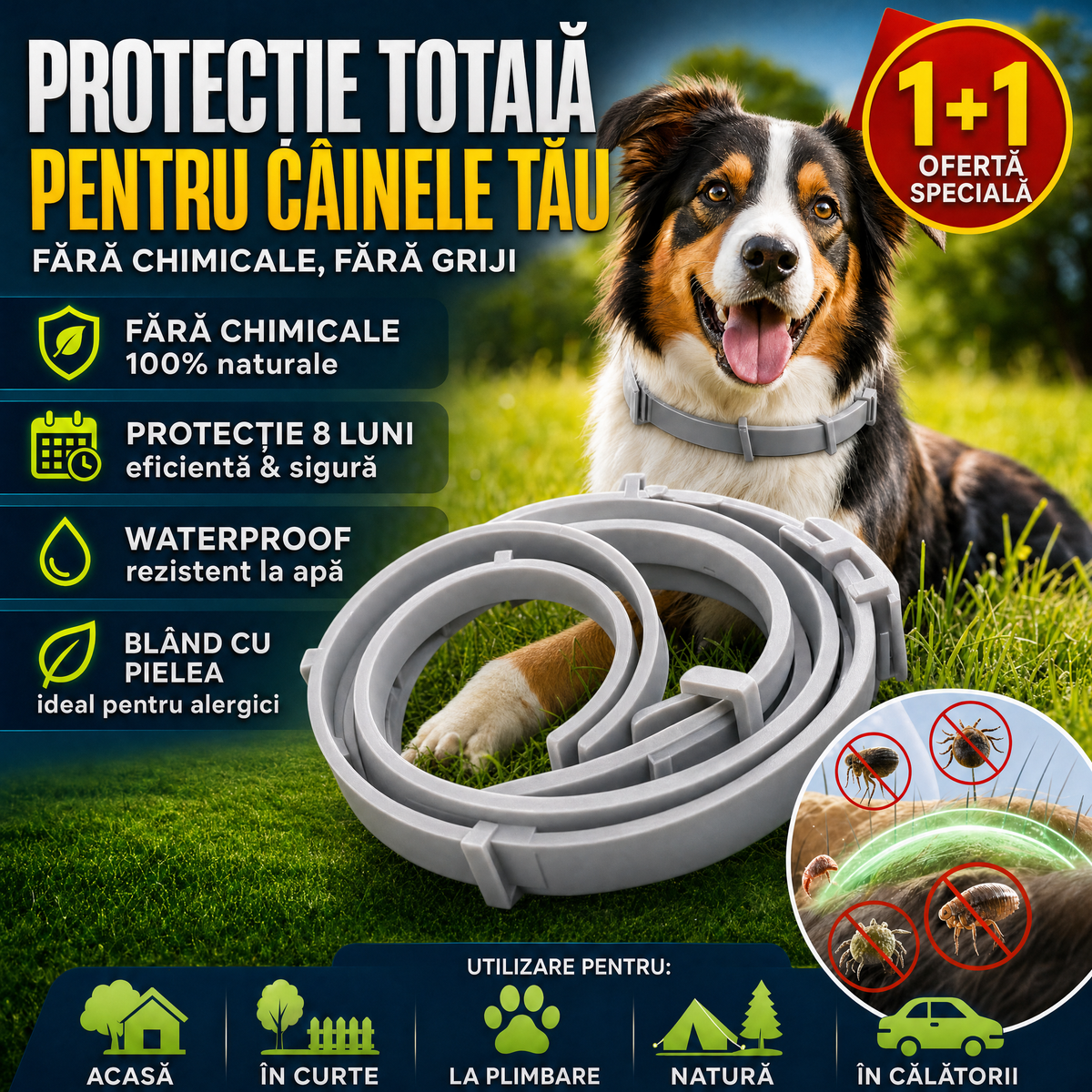 Zgardio™ - Protecție Zilnică Pentru Câinele Tău