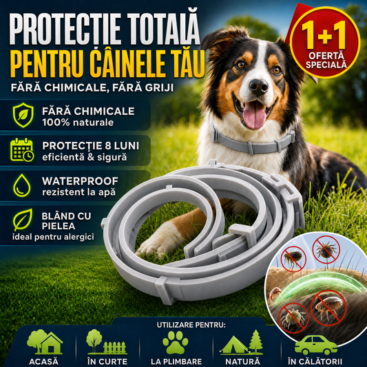 Zgardio™ - Protecție Zilnică Pentru Câinele Tău